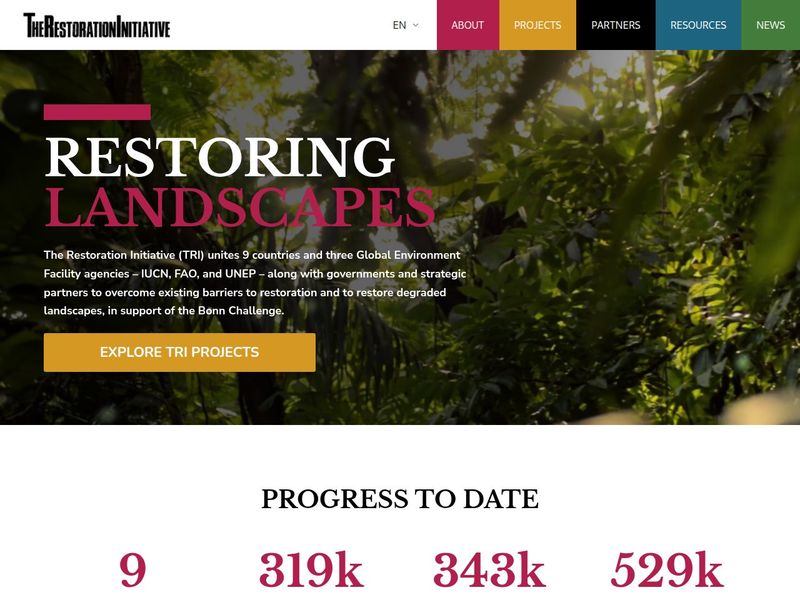 Forest hero above Progress to Date counters for countries and hectares restored