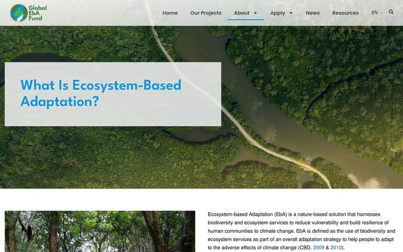 What Is Ecosystem-Based Adaptation page with an aerial forest river and explanatory text