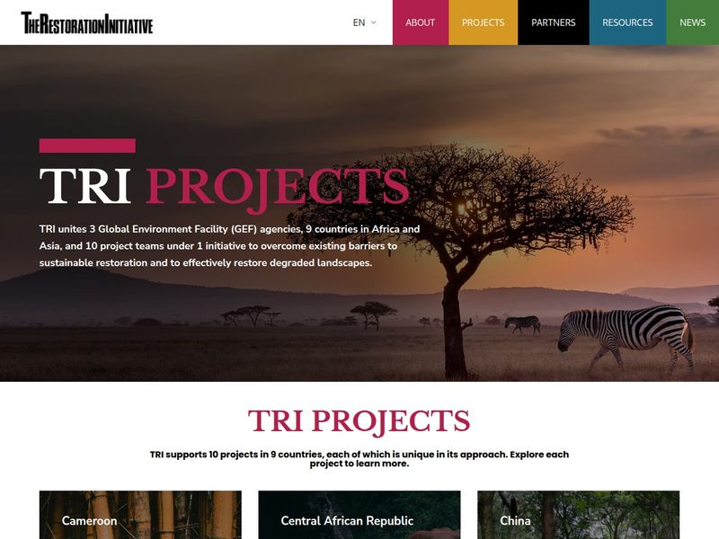 TRI Projects page with a savanna sunset and zebra above country project cards