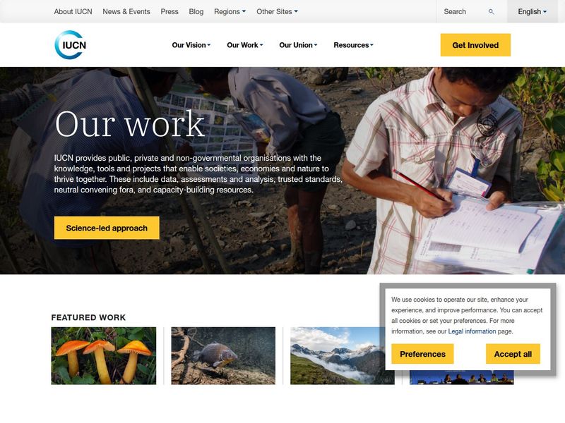 Our Work page showing field researchers recording data, above featured work thumbnails